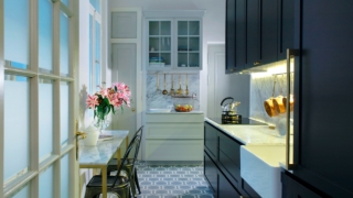 prantslaslikud k gid