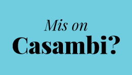 casambi, Kaur Aleksandrov, Aet Piel, casambi valgustussüsteem, tark kodu, automaatne valgustus, valgustusjuhtimine